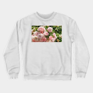 Paris Pink Rose Bush Crewneck Sweatshirt